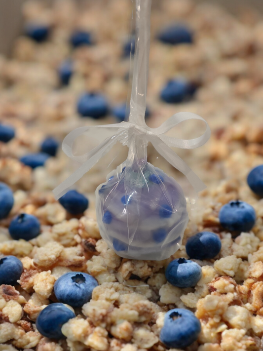 BLUEBERRY GRANOLA CAKE POP WAX MELT